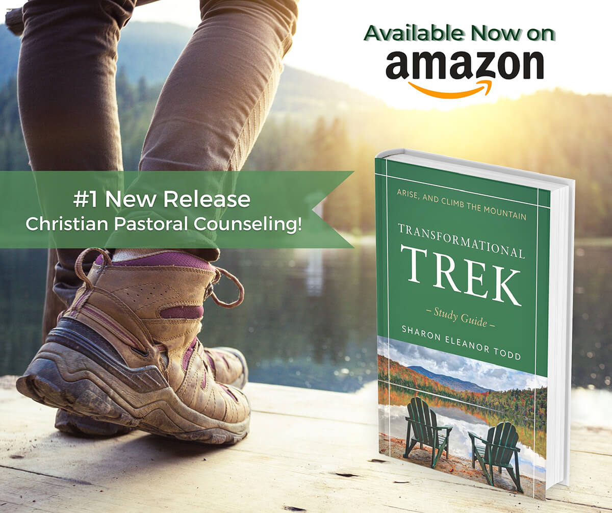 #1 New Release Christian Pastoral Counseling! - Transformational Trek