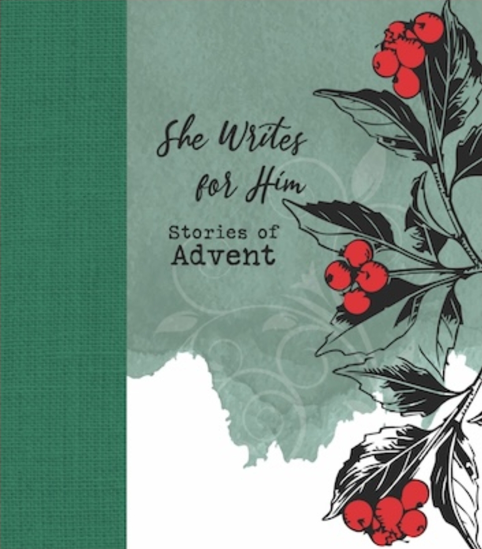 Advent Book cover